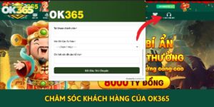 Dịch vụ Chăm sóc khách hàng OK365 chuyên nghiệp, tận tâm
